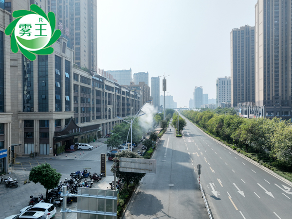 城市道路路燈桿噴霧降塵系統 (6) 城市道路路燈桿噴霧降塵系統 (6)